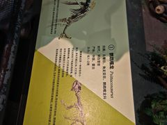 -天津自然博物馆