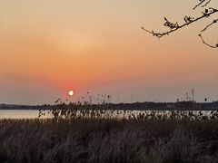 -苏州阳澄湖澜廷酒店-有景阁中餐厅