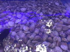 -澜悦港海鲜体验主题餐厅