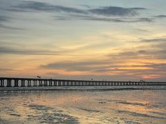 -宝安西湾红树林湿地公园