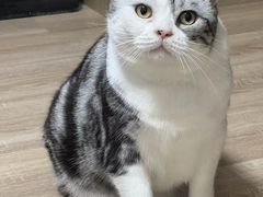 -美联众合爱康动物医院•复杂内科•肿瘤科•牙科•腔镜诊疗中心