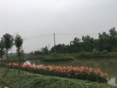 -桤木河湿地公园