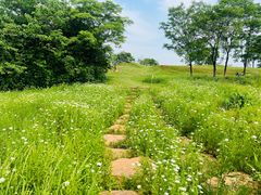 -盘龙城国家考古遗址公园