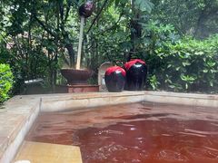 -天目湖涵田半山温泉