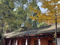 -少华山国家森林公园
