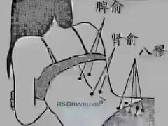 -裕和堂中医推拿艾灸(太古汇臻品店)