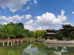 -黑龙江省森林植物园
