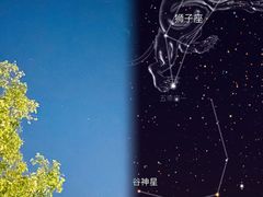 -深圳大学(丽湖校区)