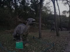 -原山国家森林公园