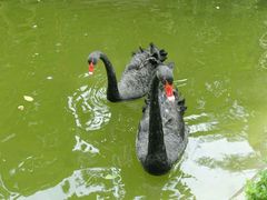 android_upload_pic-园林格兰云天大酒店-太极名厨中餐厅