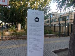 -三里屯东五街银杏大道