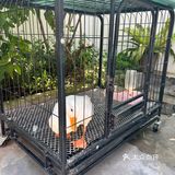 夏日最爽口的咖啡店 大隐于市