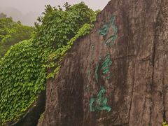 -梧桐山风景名胜区