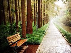 iphone_upload_pic-上海怡沁园度假酒店