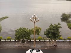 -野菌皇海景野生菌火锅(滨海大道店)