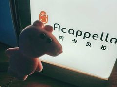 -阿卡贝拉音乐汇(印象城店)