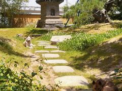 -龙华寺