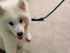 -宠颐生汉谟拉比宠物医院