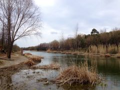 江湾湿地公园-新江湾城公园