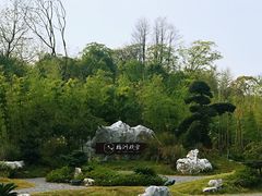 景点-杏花村文化旅游区