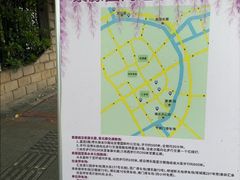 -嘉定紫藤园