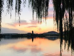 -济南国际园博园