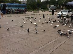 -陕西自然博物馆