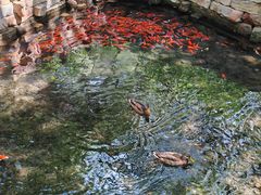 -水磨沟公园