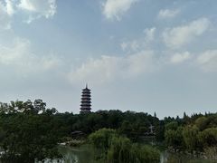 -盆景园(扬州大运河文化旅游度假区)