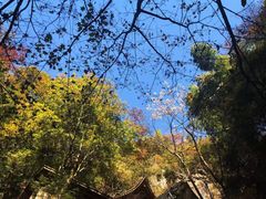 -藏龙百瀑风景区