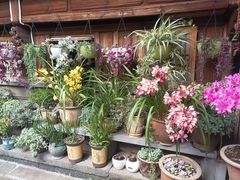 -龙姐私房菜(和顺古镇店)