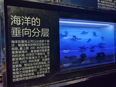 -同济大学四平路校区深海探索馆