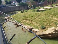 -无锡动物园·太湖欢乐园