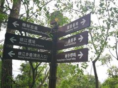 -铁山坪森林公园