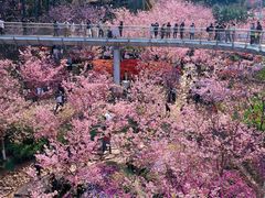 -狐尾山公园