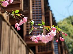 -无锡惠山寺
