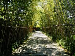 -新荣记(西溪湿地店)