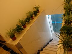 -菲尔斯特宠物医院