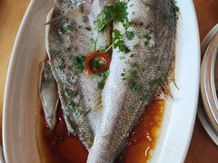 -侬佳蒸菜馆(听潮店)