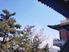 -兰山公园