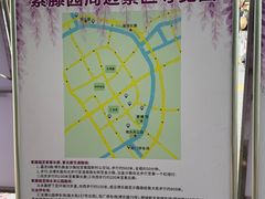 -嘉定紫藤园