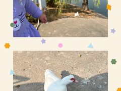 -北京麋鹿生态实验中心