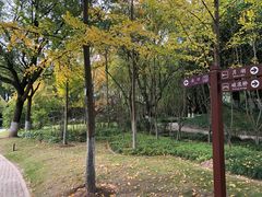 -瀛洲公园