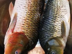 -象鼻山米粉(建干路店)