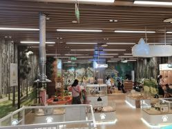 -小象动悟公园(龙湖亦庄天街店)
