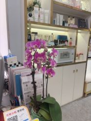 -MIDA蜜哒•科技逆龄美肤连锁