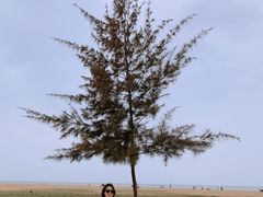 -白沙门生态公园