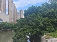 -成都市活水公园