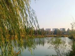 -瑶湖郊野森林公园