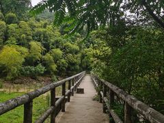 -宝界山林公园